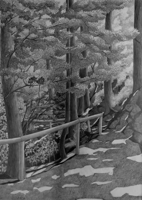 Waldweg bei Erlenstegen (Bleistiftzeichnung).